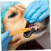 Sosoport 30 pcs Supplies for Pets Puppy Cleaning Dog Brush Small Handheld Tooth Pet Cat Teeth Portable 1 count (Pack of 1) Assorted Colorx3pcs - Buy Online on GoSupps.com