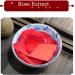 Traditional Chinese Lipstick Set | 12 PCS Ancient Style Matte Rouge with Non-Stick Cup & Red Storage Box - Long-Lasting Makeup - Buy Online on GoSupps.com