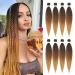Beyond Beauty EZ Braid Pre Stretched Braiding Hair 8Packs-26inch EZ Braid Professional Hair Yaki Synthetic Hair(T1B-30-27) 8Packs-26Inch T1B-30-27