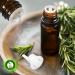 R V Essential Pure Amla Oil 10ml - 100% Natural Emblica Officinalis Extract - Buy Online on GoSupps.com