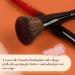 OMANIAC Contour Brush | Best Makeup Brush for Sculpting Highlighting & Blending | Ultra-Plush Fibers & Ergonomic Handle for Flawless Application - Buy Online on GoSupps.com