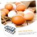 BUGUUYO Box Egg Carton Eggs Egg Holder Portable Drawers Food Refrigerator Egg Tray Shelf Side Door re-usable Blue 22.3X10.1X8.9CM - Buy Online on GoSupps.com