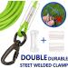Heavy-Duty Tie Out Leashes for Dogs | Shock Absorbing Spring | 3-15m Green Yard Leash - Buy Online on GoSupps.com