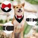 Hacraho Red Formal Tuxedo for Dogs & Cats - Cotton Neckerchief Wedding Collar with Fly & Tie Size L - Buy Online on GoSupps.com
