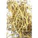 DK Patol (Kadu Parval) Patol Patra - Patola - Pointed Water Bottle - Trichosanthes Dioica (100 gm)