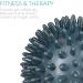 Navaris 3x Massage Ball Set - Hedgehog & Lacrosse Balls for Shoulder Back Foot & Hand Relief - Medium Hard Fitness Tools - Buy Online on GoSupps.com