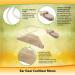 Buy Ear Gear Cochlear Mono Protects Implants from Dirt Sweat & Moisture Fits Most Cochlear Advanced Bionics & Medel Processors Mono Black - Buy Online on GoSupps.com