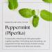 Nikura Peppermint Essential Oil 50ml - 100% Pure Natural Oil for Hair Care, Spider Repellent, and Energy Boost - Vegan & UK Made - Buy Online on GoSupps.com
