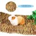 Roadloo Small Pet Grass Mat - 4 Edible Natural Grass Mats for Rabbits Guinea Pigs Rats Parrots & Ferrets | Safe & Fun Animal Toy - Buy Online on GoSupps.com
