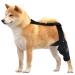 Rear Leg Braces for Small Dogs Brace Behind Leg | Support Dog Knee Brace Neoprene Hip Brace Adjustable Traction Belt for Knee for Cruciate Ligament Injury for Torn ACL Leg L left