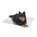 Furhaven Pet - Reinforced Cot Bed with Metal Frame, Detachable Plush Cot Dog Blanket with Pouch, & ThermaPUP Self-Warming Reflective Thermal Insert Mat for Dogs & Cats - Multiple Sizes & Colors Heating Pad Small Silver