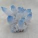 Natural Crystal Rough 1pc Natural Blue Crystals Quartz Cluster Freeform Reiki Stones Room Home Office Aquarium Decoration Accessories Gemstone Lucky Stone Ornaments (Size : 600-700g) - Buy Online on GoSupps.com