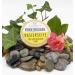 Buy HASLINGER Marigold Shaving Soap - 60g | Premium International Shipping - Buy Online on GoSupps.com