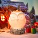 ARVIDSSON Electric Owl Wax Warmer - White | Opulent Garden Scent | International Shipping - Buy Online on GoSupps.com