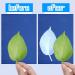 Cyanotype Paper Sun Art Kit - 60 Sheets, High Sensitive Solar Activated Paper for Nature Printing, Arts and Crafts - 5.8 x 8.3 Inch - Buy Online on GoSupps.com