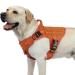 rabbitgoo no pull dog harness medium large dogs tactical breast dishes with a moll grip metal buckle breathable military safety harness adjustable padding dog vest m orange m (1 Pack) orange