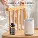 Hotel Collection Diffuser Oil Inspired by The Conic 5-Star Hotel Coastal Blend No.1014 Essential Oils for Diffusers for Home Hotel Scents for Home Waterless Essential Oil Diffuser (10ml) Coastal Blend No.1014 (10ml) - Buy Online on GoSupps.com