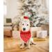 Shop Lionheart Glory Dog Haller Christmas Bib - Washable Soft Cotton Adjustable Neckerchief for Small Dogs - Red 1 Pack - Buy Online on GoSupps.com