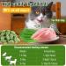 100g Cat Grass Treats Cat Grass Teething Stick for Hairball Remove and Teeth Cleaning Edible Cat Grass Stick Snack - Buy Online on GoSupps.com