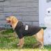 BINGPET Security Dog Hoodie X-Large Black - Warm Fleece Pet Sweater Coat for Cold Weather - Dog & Cat Hooded Sweatshirt - Chest Girth 34 - Buy Online on GoSupps.com