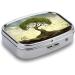 Shop Stylish Pill Box Trees Print - 2 Compartment Medicine Organizer | Portable Metal Pill Case for Pocket & Purse - Ideal for Travel & Daily Use - Buy Online on GoSupps.com
