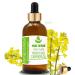 Pure Herbs Rapeseed Oil (Canola) - 100ml Natural Carrier Oil with Dropper | Pure & Organic for Skincare - Buy Online on GoSupps.com