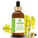 Pure Herbs Rapeseed Oil (Canola) (Brassica oleifera syn B. campestris) pure and natural carrier oil with dropper (100 ml)