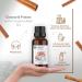 Buy HBNO Organic Cinnamon Bark Essential Oil 1 Oz (30 ml) - Pure & Natural Spice Oil for Aromatherapy & Wellness - International Shipping Available - Buy Online on GoSupps.com