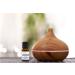 Peppermint Eucalyptus Fragrance Oil - 10ml | Premium Long Lasting Aromatherapy Diffuser Oil - Eclectic Lady - Buy Online on GoSupps.com