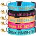 Personalized Cat Collar with Bell,Custom Cat Collars with Name and Phone Number Adjustable Nylon Embroidered ID Collar for Cat with Breakaway Safety Release Buckle