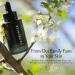 Le Prunier Plum Beauty Oil Superfood Antioxidant Facial Oil | Vegan Non-Comedogenic Multi-Use Moisturizing Oil for Face Hair & Body | Hydrating Clean Cruelty-Free Skincare | 1 fl oz - Buy Online on GoSupps.com