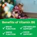 VitaWorks Kids Vitamin B6 Chewable Tablets - 20mg - Great Tasting Green Apple Flavor - Vegan Non-GMO Gluten Free Kosher Vit B6 (Pyridoxine) - Supports Energy & Brain Function - 120 Chewable Tablets - Buy Online on GoSupps.com