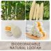 Organic Loofah Sponge 3 Pack - Natural & Eco-Friendly Body Scrubber for Shower - Biodegradable Exfoliating Pad for Dead Skin Removal - Buy Online on GoSupps.com