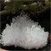 Natural Clear Quartz Crystal Cluster Minerals Reiki Stone Home Furnishing Decoration (Size : 500-600g) - Buy Online on GoSupps.com