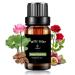 Hotel Scents Elegant Charisma 10ML Essential Oil Inspired by Shangri-La Hotel Hotel Collection Diffuser Oil with Cedarwood and Sandalwood Luxury Home Aromatherapy Fragrances Oil