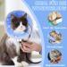 Adjustable Cat Collar & Foldable Recovery Cone | Prevents Licking Wounds for Kittens - Cats Rullenkruff - Buy Online on GoSupps.com