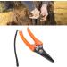 Buy High Carbon Stainless Steel Hoof Shears for Goats | Safe & Durable - International Shipping - Buy Online on GoSupps.com