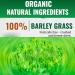 Barley Grass Powder 100% Pure & Organic Barley Grass Juice Powder Organic Barley Grass Juice Powder Barley Tea (2 Box) - Buy Online on GoSupps.com