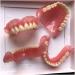 Upper Teeth and Lower Teeth Model Denture Model Mouth Tooth Model for Kids or Dentist Students Demonstration Teaching Studying Tool. - Buy Online on GoSupps.com