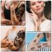 Realistic Waterproof Temporary Tattoo Stickers - Large Tiger, Lion, Skull & Skeleton Designs - 70 Sheets Half Arm Sleeve for Men & Women - Long Lasting 3D Fake Tattoos for Adults & Teens - Buy Online on GoSupps.com