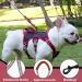Multi-Purpose Dog Harness & Leash Set Outbreak-Proof Anti-Train Safety Gear for Small to Medium Dogs (Black Size S) - Buy Online on GoSupps.com