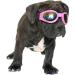 HIXNUG Pet Goggles Adjustable Strap Dog Goggles Wind Dust Fog Protection Eye Wear Goggles for Motorcycle Car Swimming (Black) - Buy Online on GoSupps.com