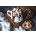 Organic Cocoa Powder 125g - Gluten-Free Vegan Sugar-Free | High-Quality De-Oiled Back Cocoa & Drinking Chocolate - Buy Online on GoSupps.com