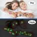 Cerlaza 220 Styles Luminous Temporary Tattoos for Kids - Unicorn, Dinosaurs, Pirate, Space, Mermaid Stickers - Party Favors for Boys & Girls - 20 Sheets - Buy Online on GoSupps.com