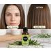 Earth N Pure Rosemary Essential Oil for Hair Growth Natural & Therapeutic Grade with Glass Dropper - 100 ml - Buy Online on GoSupps.com