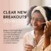 Bolden Overnight Spot Treatment - Eliminate Breakouts Fast | All Skin Types | 1.0 fl oz - Buy Online on GoSupps.com
