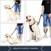 DDSCOLOUR Heavy Duty Dog Leash 5-6ft Long with Double Traffic Handle Reflective Perfect for Medium large dog leash strong Double Handle Lead Greater Control Safety Training (Black+Red) 6 feet Black+red - Buy Online on GoSupps.com