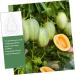 Yardwe 9 Pcs Vegetable Growing Mold Strawberry Accessories Small Fruit Mold Watermelon Multifunction 9x8cmx3pcs Transparentx3pcs - Buy Online on GoSupps.com