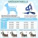 Eyein No-Pull Dog Harness with Leash - Adjustable Reflective Padded for Puppies Small & Large Dogs Cats - Dark Blue XS - Buy Online on GoSupps.com