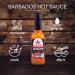 Poppamies Hot Sauce - Authentic Barbados Caribbean Flavor | Gluten-Free & Lactose-Free | Spicy 6/10 | 150ml - Buy Online on GoSupps.com